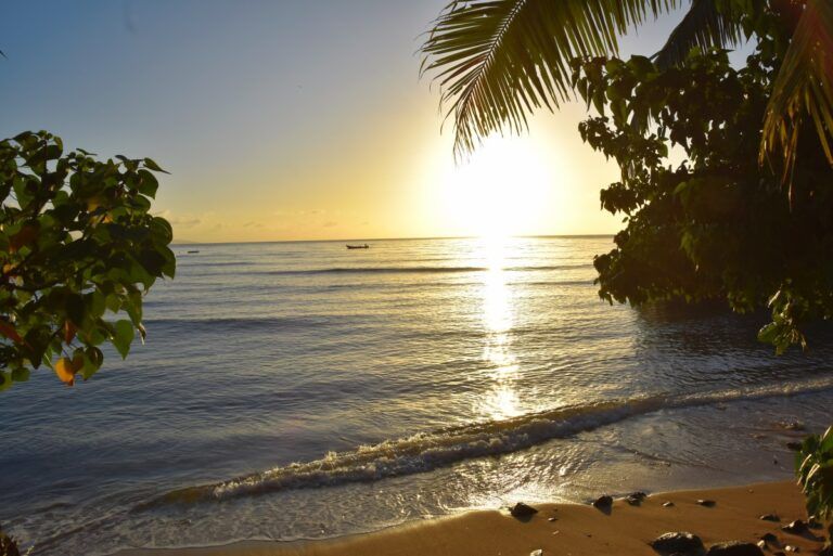 Fiji Weather in December 🌞