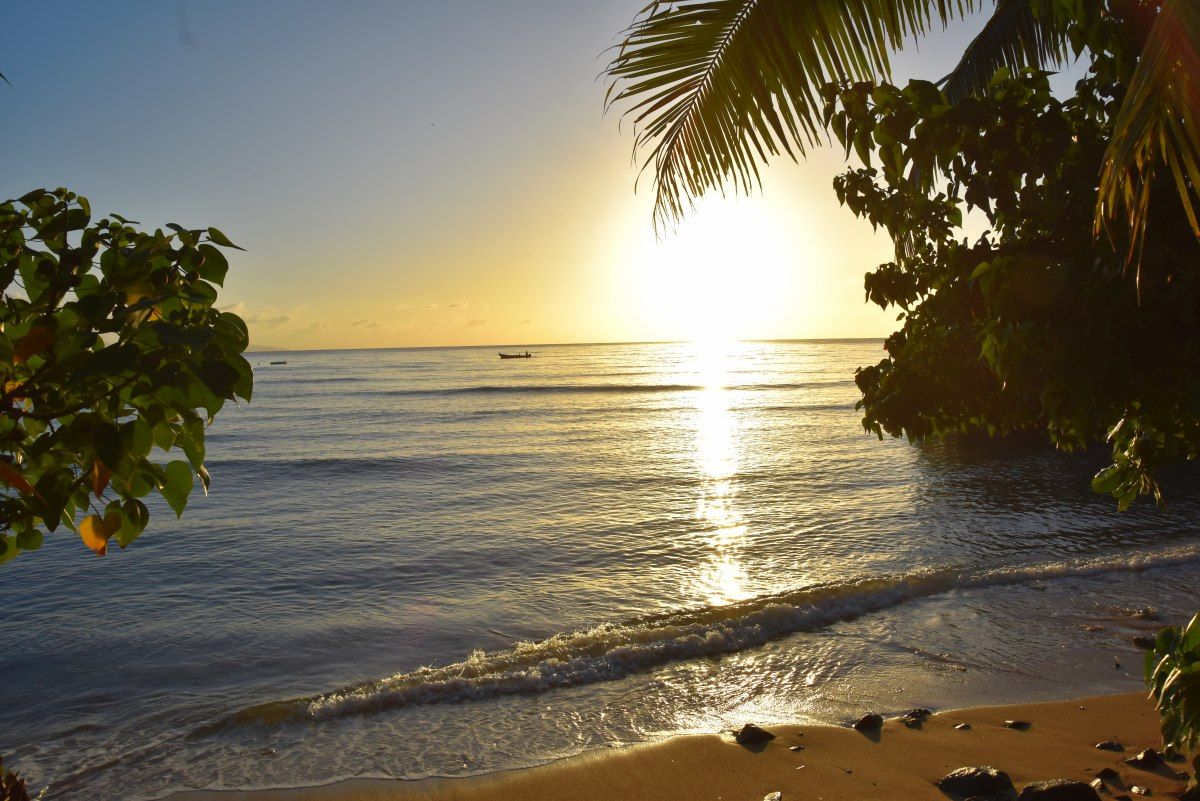 Fiji Weather in December Temperature, Rain, Packing List & More Fiji Pocket Guide
