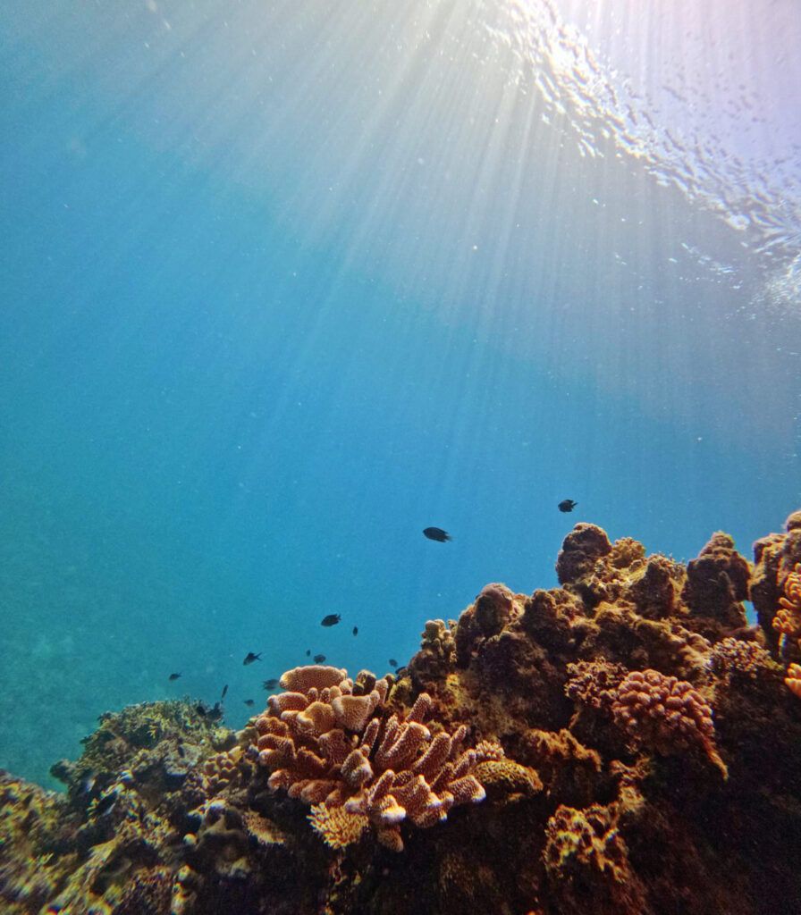 10 Reasons to Travel in the Low Season in Fiji