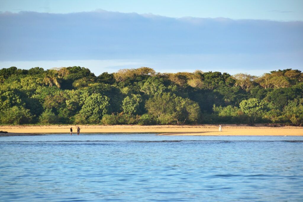 Fiji Weather in May 🌞