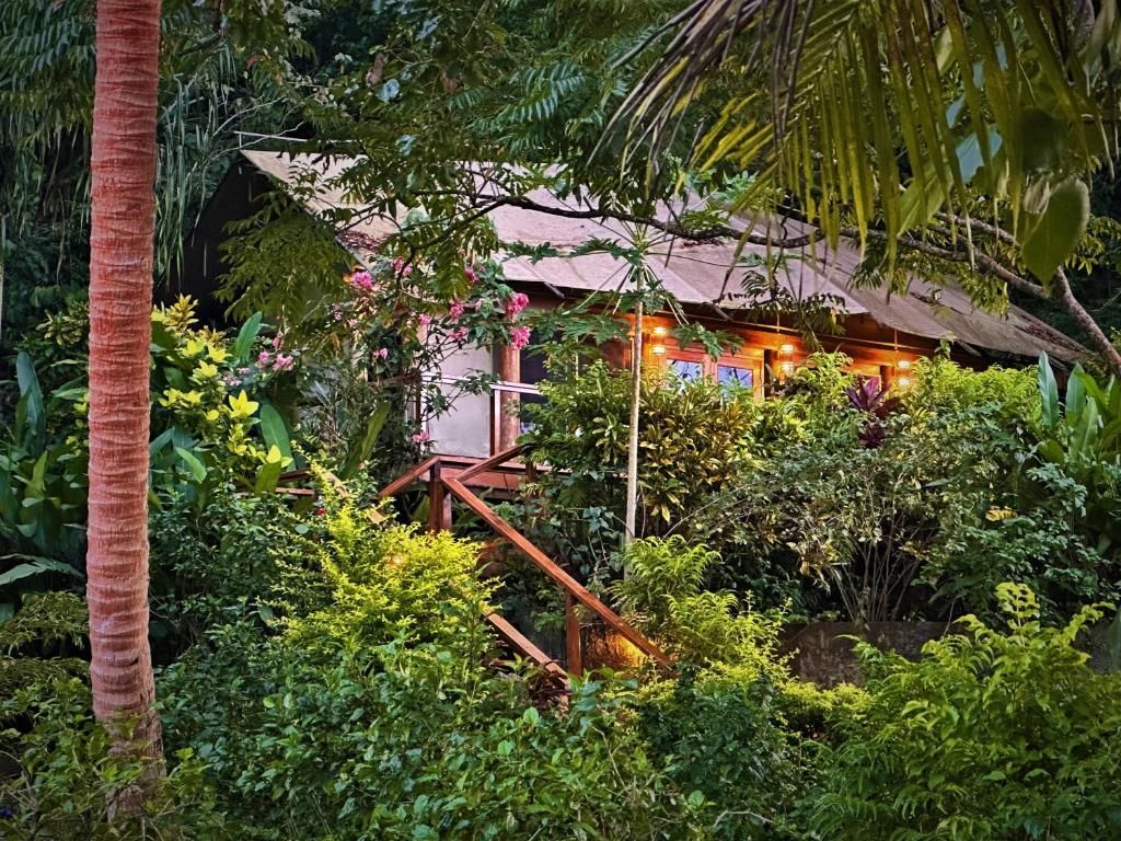 5 Best Glamping Accommodations in Fiji [2025]