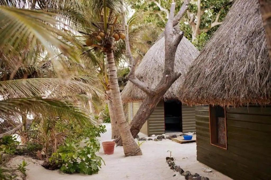 10 BEST Budget Accommodations in the Yasawa Islands [2025]