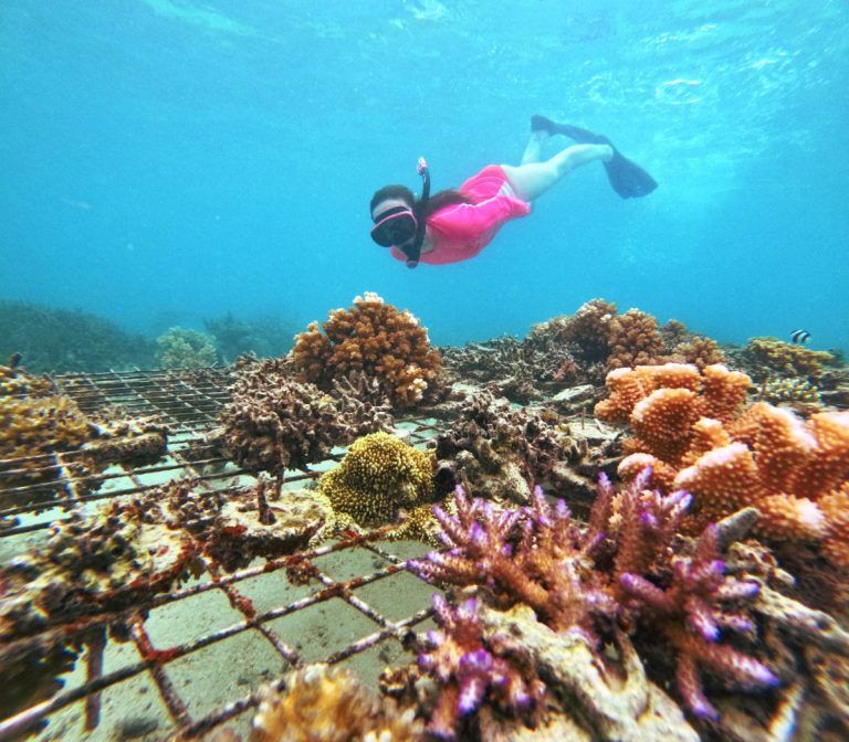 10 Fiji Resorts with Conservation Programs (Turtles, Coral & More)