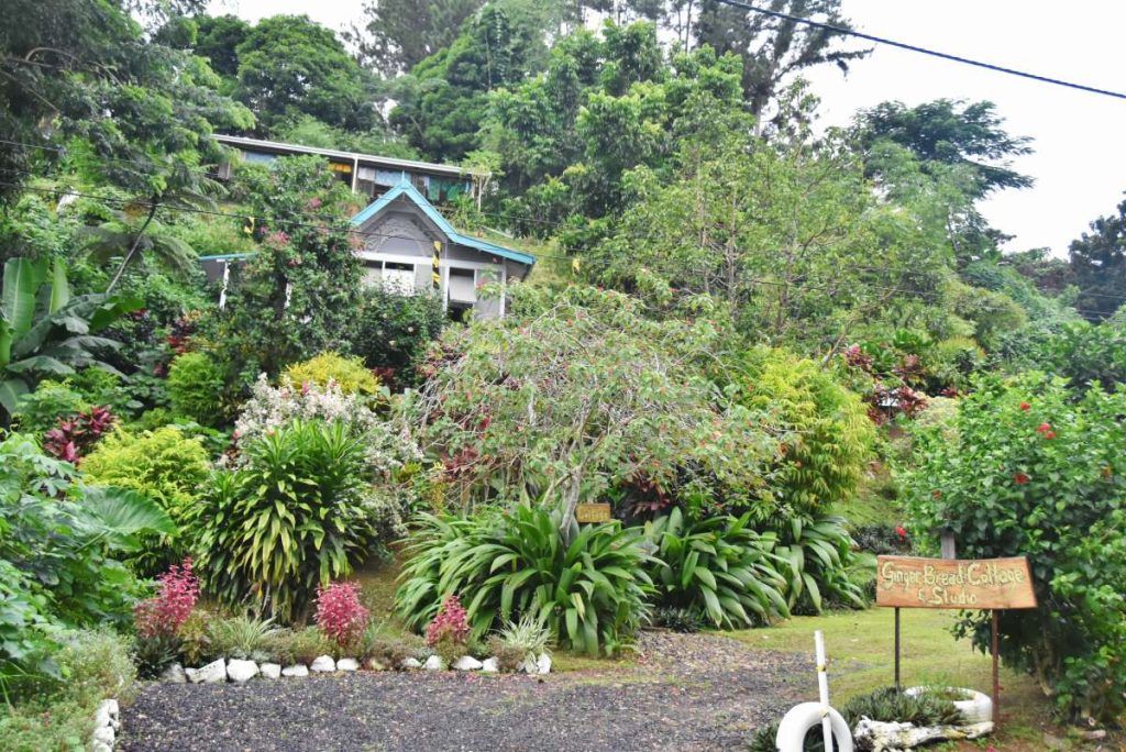 10 BEST Holiday Homes in Savusavu &amp; Vanua Levu [2025]