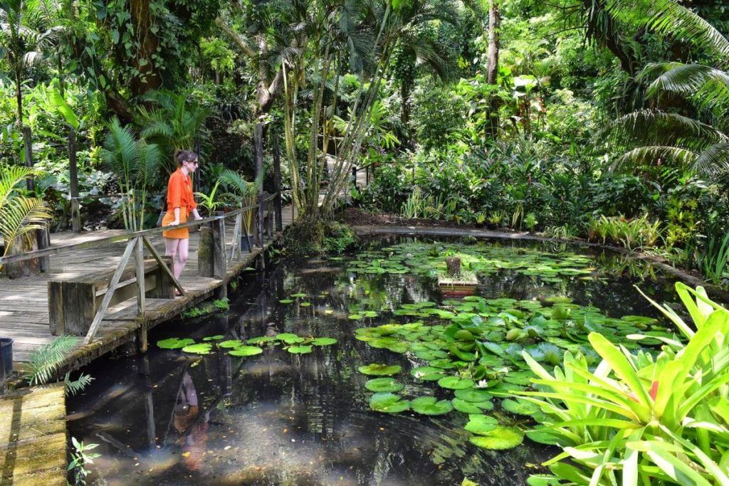 Where to Stay in Nadi & Denarau: BEST Accommodations [2025]