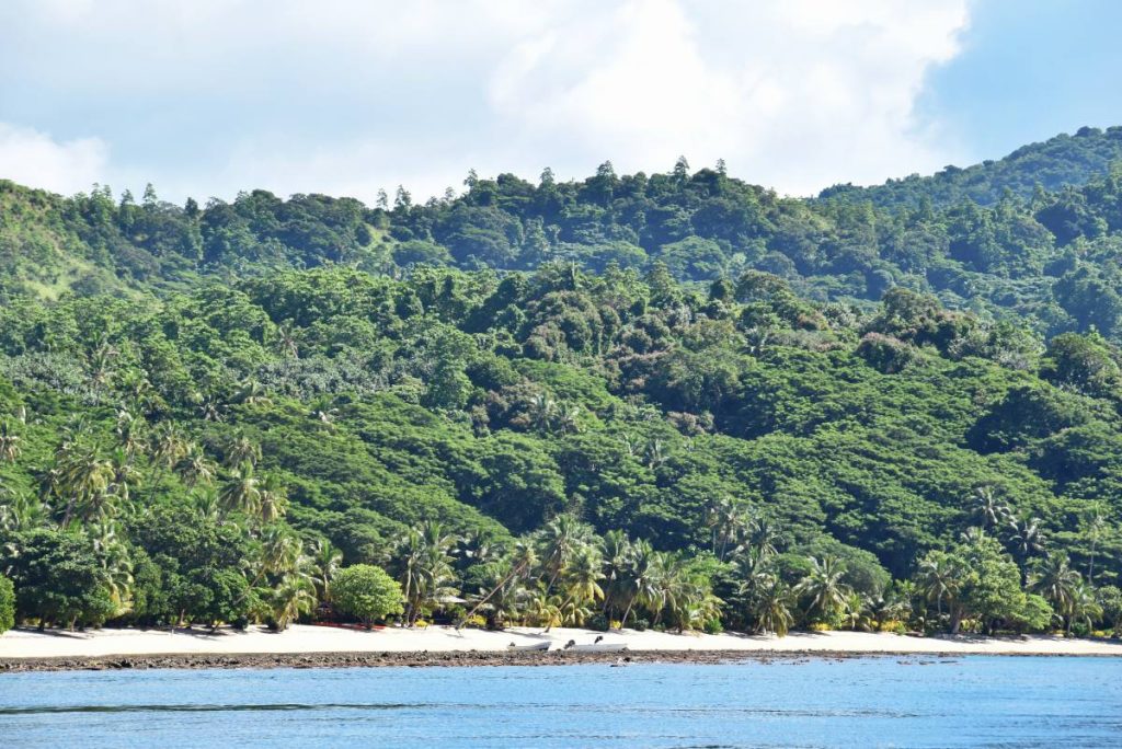 20 BEST Resorts on Taveuni ????️ [2025]