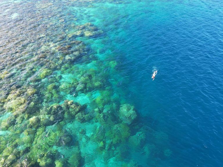 10 Best Snorkelling Resorts in Fiji ???? [2025]