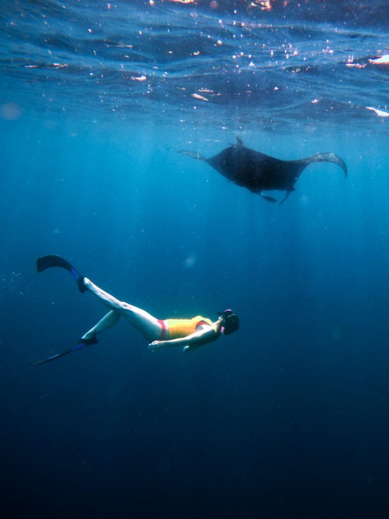 10 Best Fiji Resorts for Swimming with Manta Rays [2025]