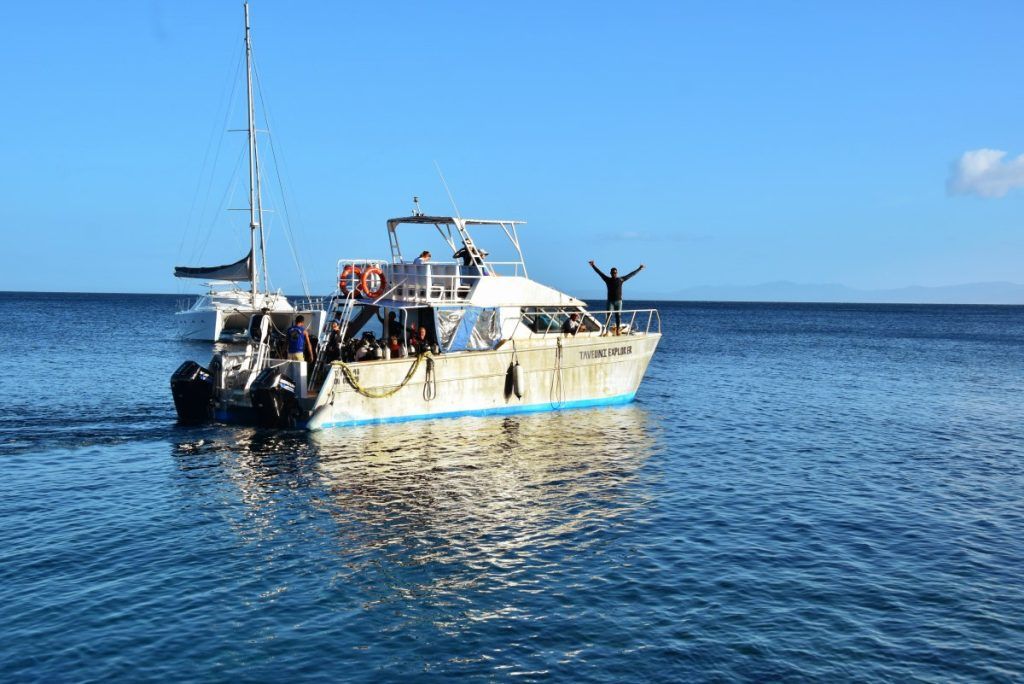 15 BEST Dive Resorts in Fiji ???? [2025]