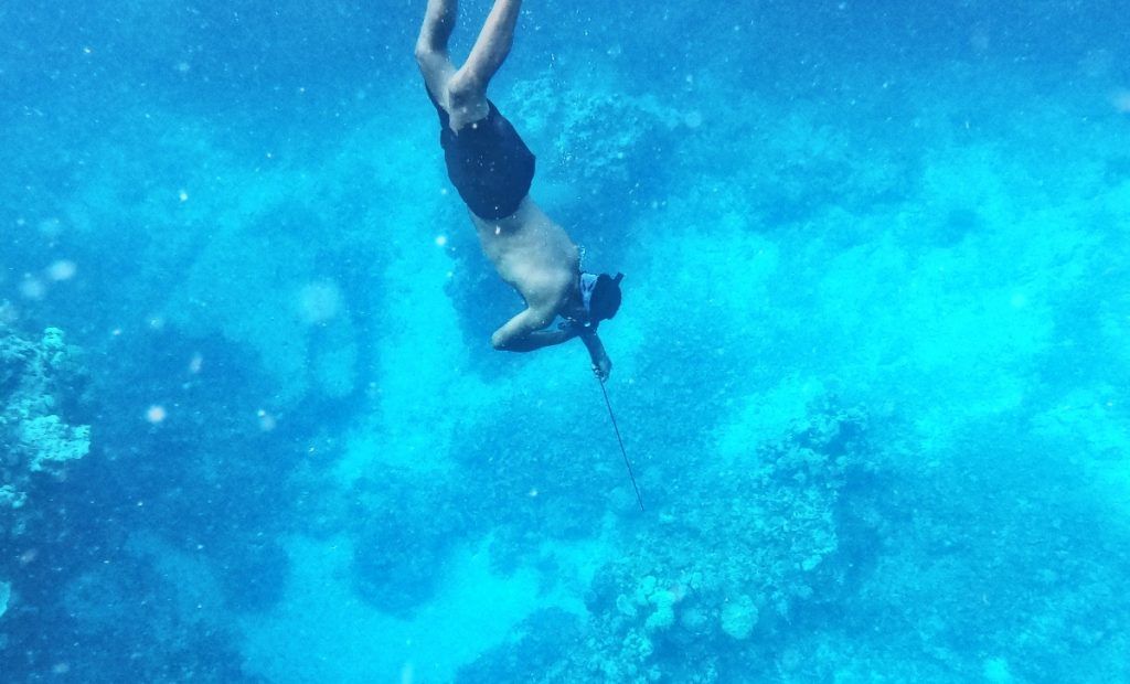 5 Best Spearfishing Resorts in Fiji
