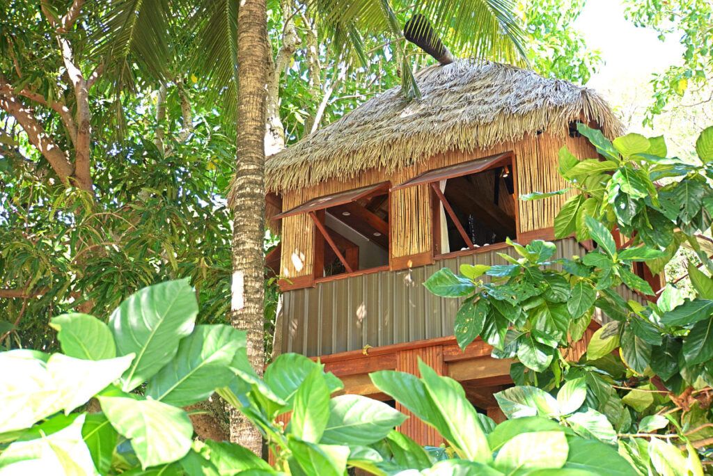19 BEST Budget Resorts in Fiji ⛱️ [2025]