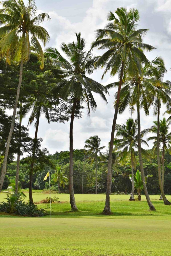 12 Best Golf Courses in Fiji ⛳ [2025]