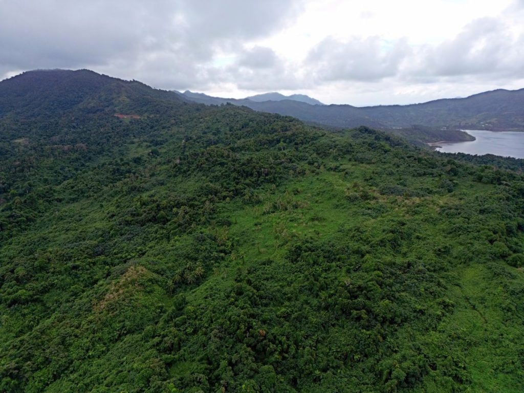 8 Best Walks on Kadavu