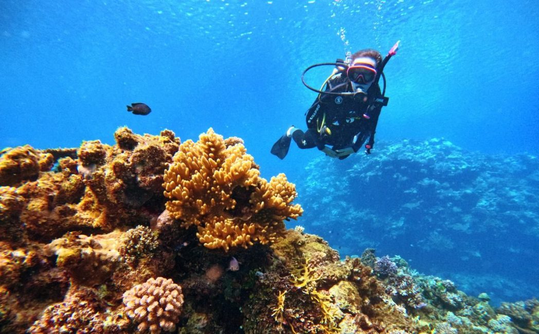 15 BEST Dive Resorts in Fiji ???? [2025]