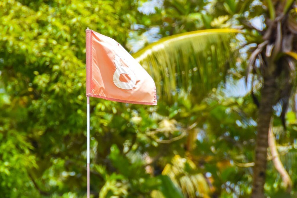 12 Best Golf Courses in Fiji ⛳ [2025]