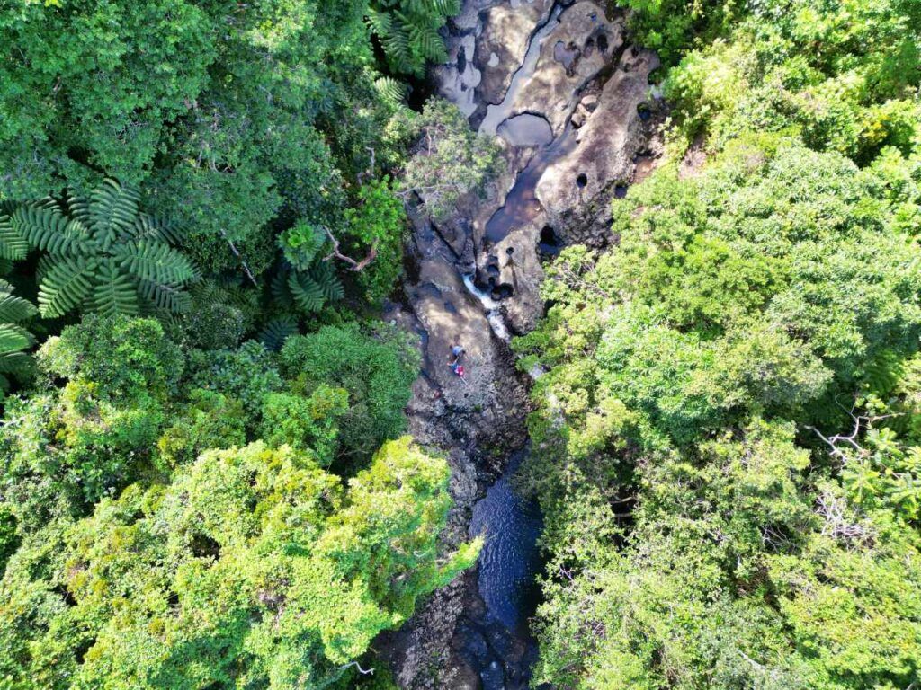 9 Best Walks in Lautoka, Rakiraki & the Suncoast
