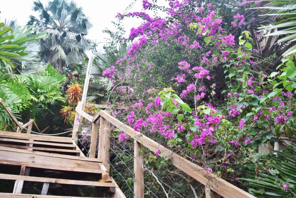 The Best Day Trips on Vanua Levu