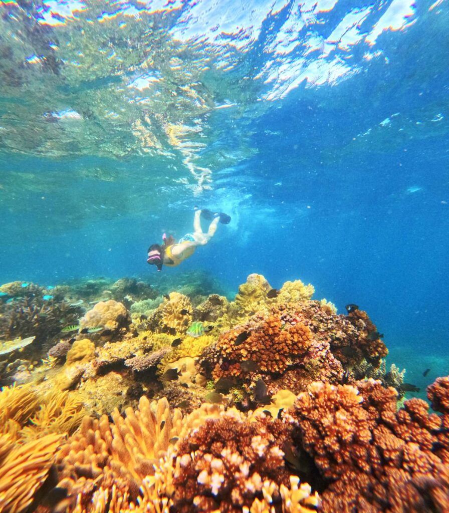 The Family Travel Guide to Taveuni