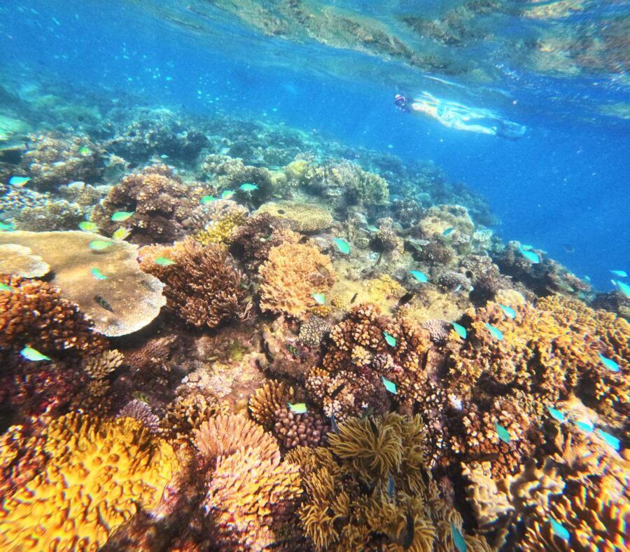 The Family Travel Guide to Taveuni