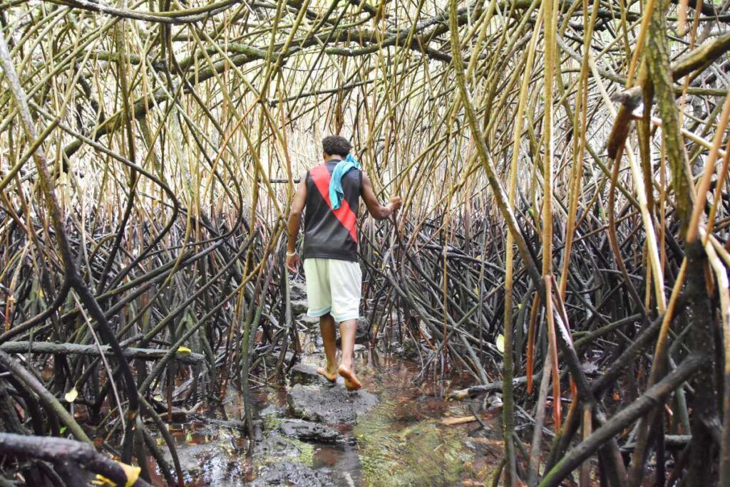10 Things You Need to Know Before Visiting Savusavu