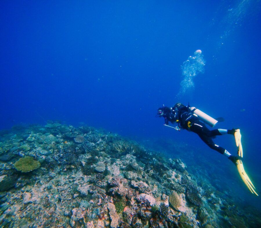 10 Best Luxury Experiences in Savusavu & Vanua Levu