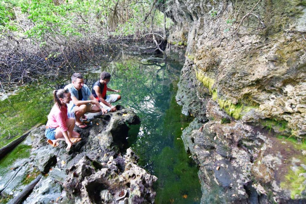 10 Free & Cheap Things to Do in Savusavu & Vanua Levu