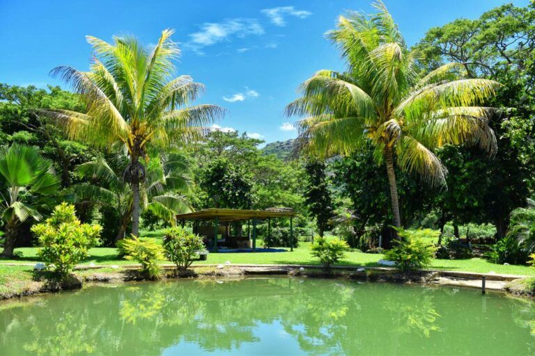 The Family Travel Guide to Nadi 👨‍👩‍👧‍👦 [2025]