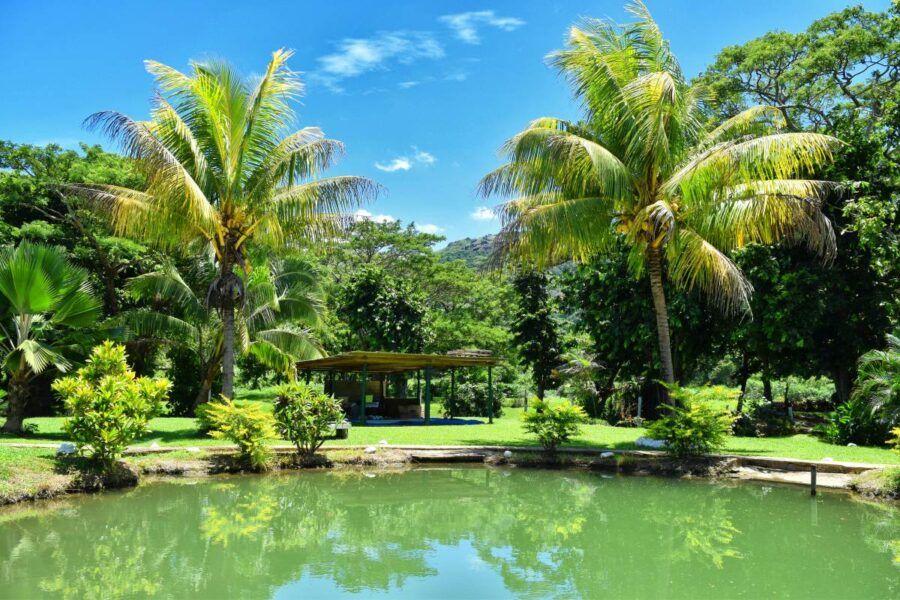 The Family Travel Guide to Nadi 👨‍👩‍👧‍👦 [2025]