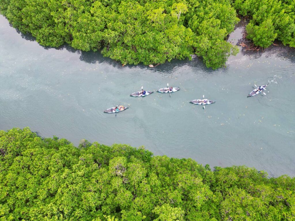 20 Best Things to Do on Vanua Levu 🌴 [2025]