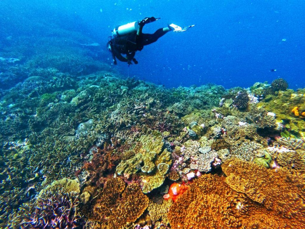 10 Things You Need to Know Before Visiting Kadavu