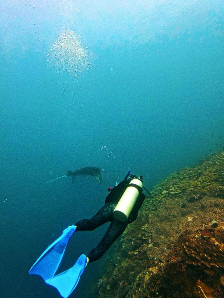 10 Things You Need to Know Before Visiting Kadavu