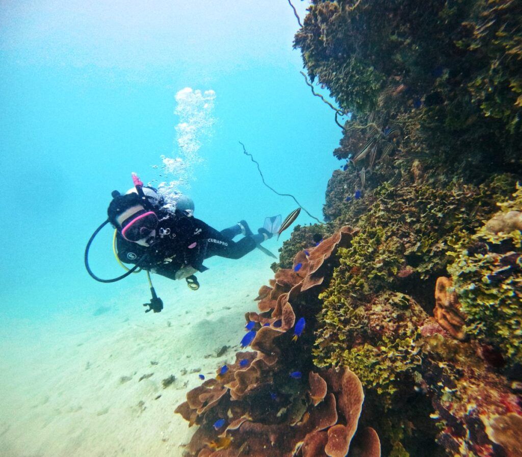 10 Things You Need to Know Before Visiting Savusavu