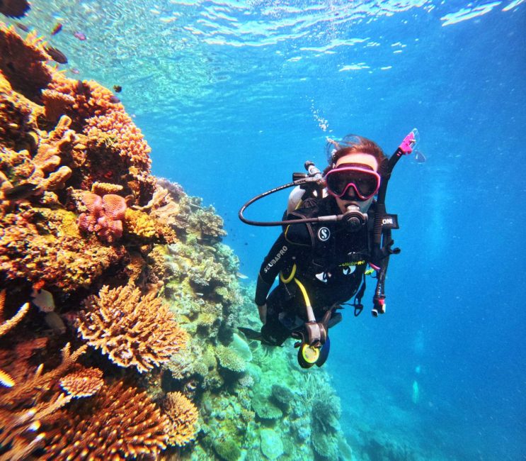 10 Best Dive Sites on the Suncoast