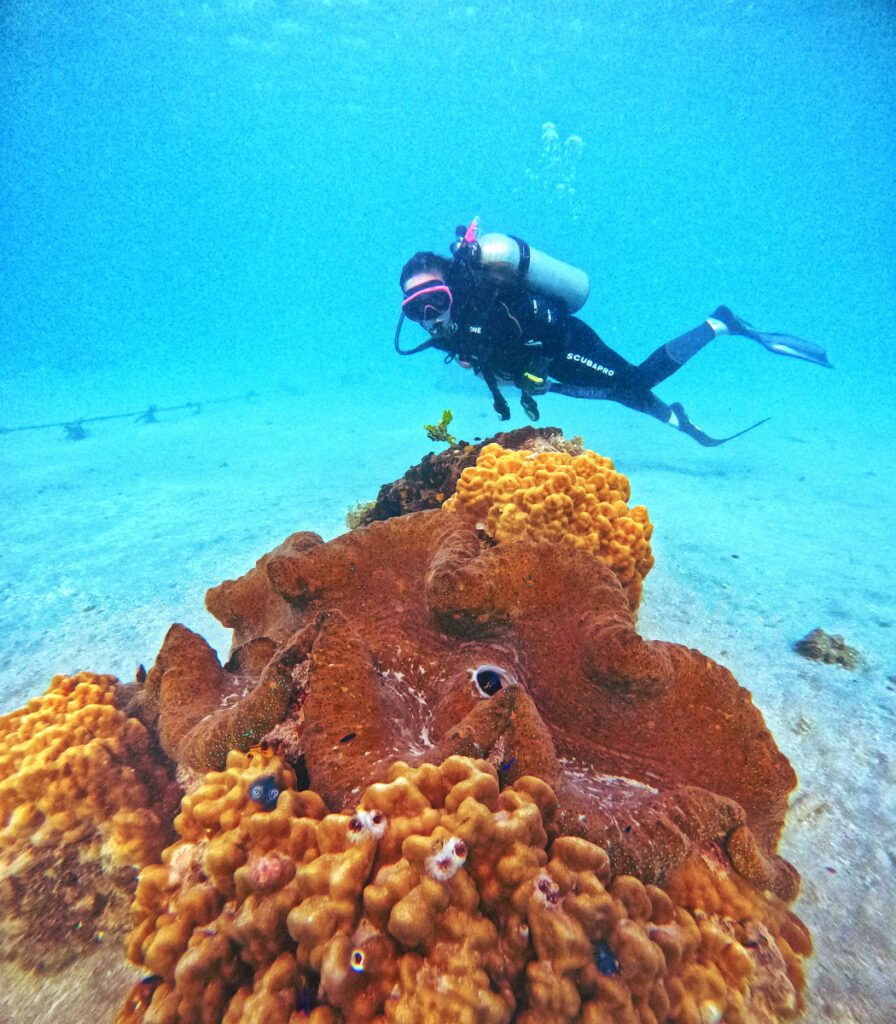 12 Best Sailing Day Tours in Fiji ⛵ [2025]
