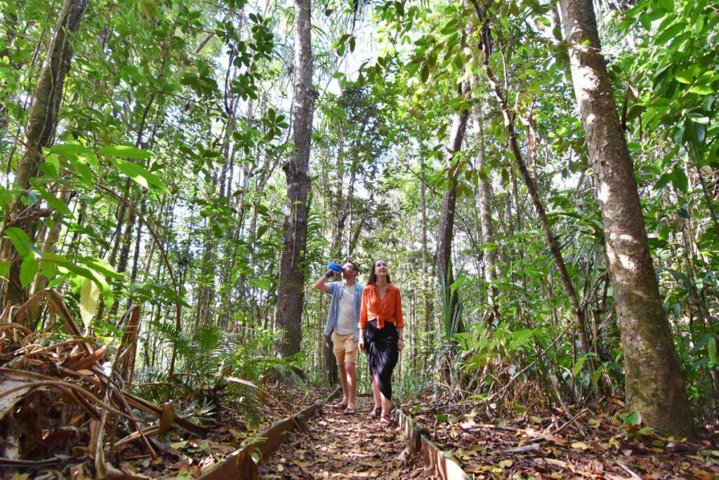 20 Best Walks & Hikes in Fiji 🥾 [2025]