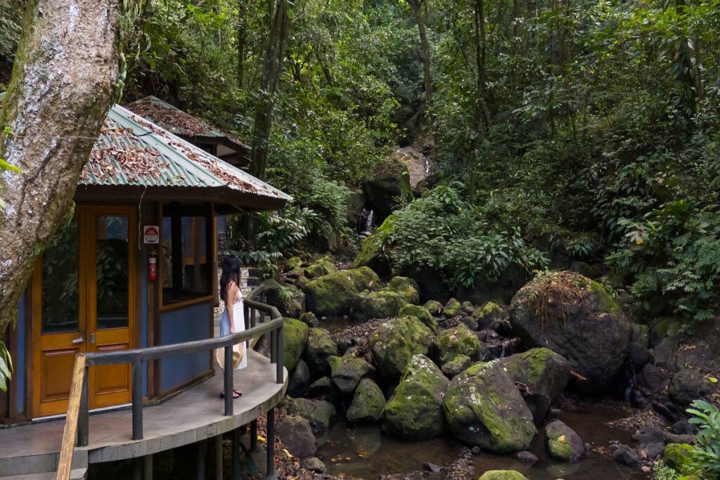 10 Best Places to Experience Yoga in Fiji 🧘🏻‍♀️[2025]