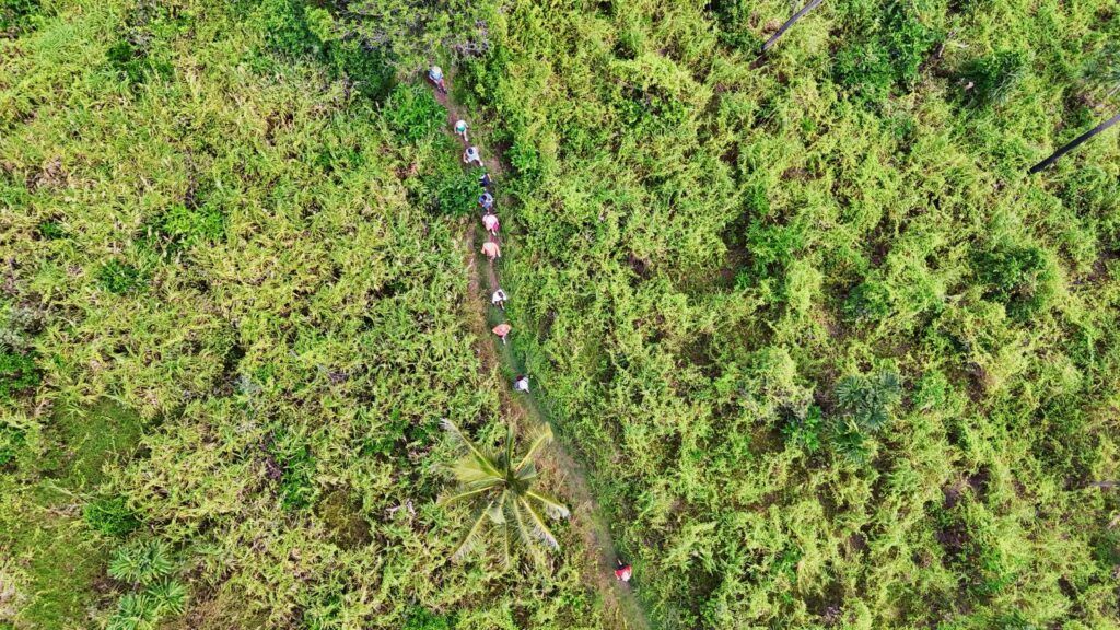 9 Best Walks &amp; Hikes in the Yasawa Islands