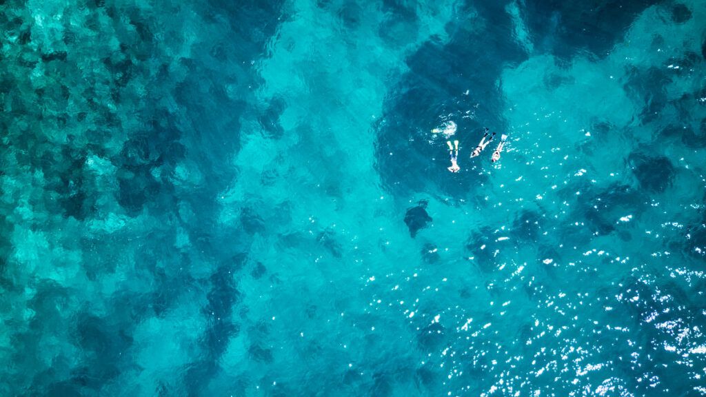 The Guide to Swimming with Manta Rays in Fiji [2025]