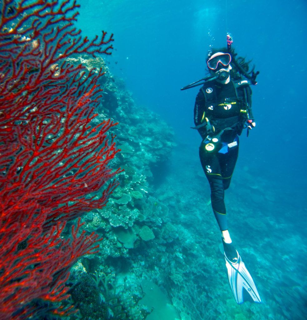 13 BEST Island Day Trips in Fiji 🏝️ [2025]