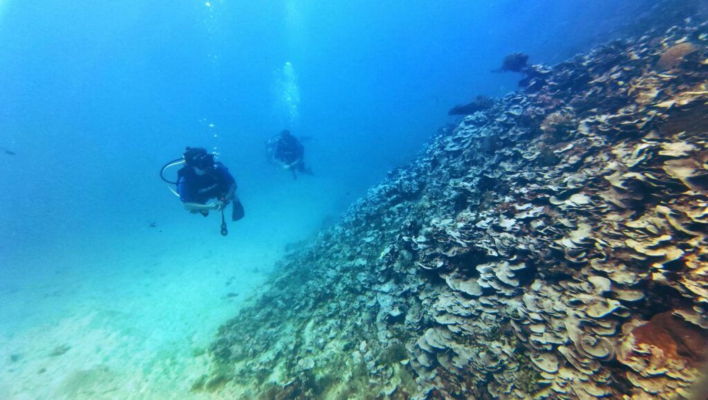 21 Best Things to Do in the Yasawa Islands 🏝️ [2025]