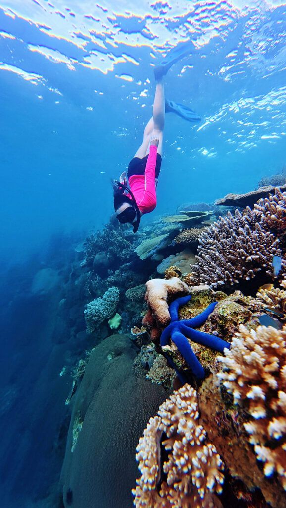 The Best Snorkelling in Fiji: 20 Places to Snorkel
