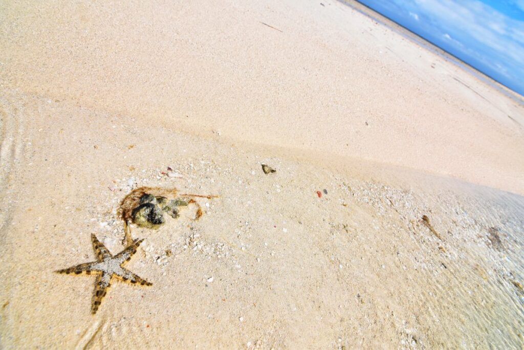 20 BEST Things to Do in Levuka & the Lomaiviti Islands ⛪ [2025]