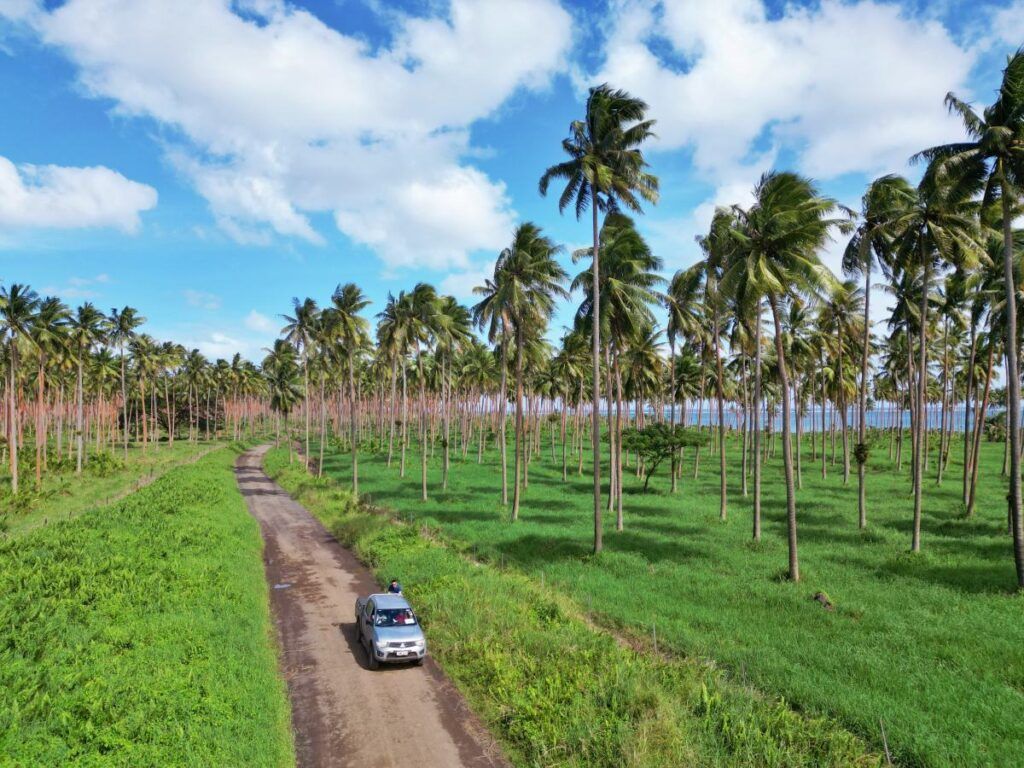 20 Best Car Rentals in Fiji 🚙 [2025]