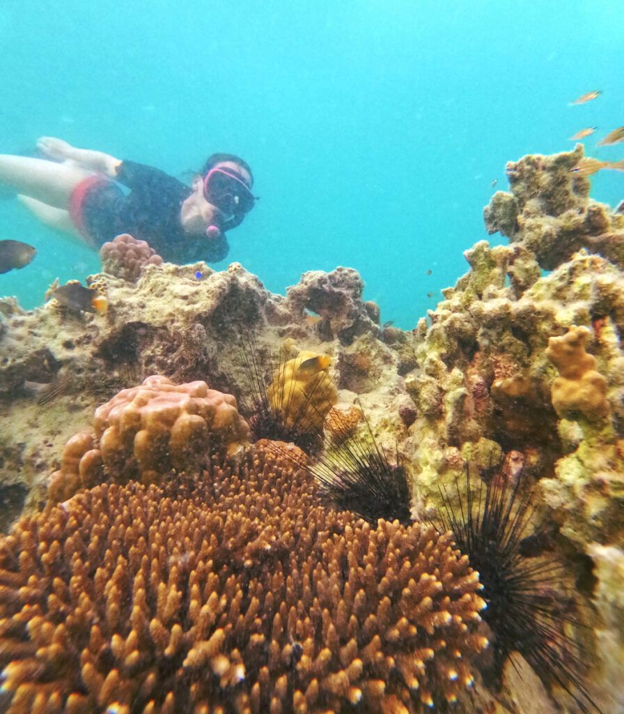 10 BEST Places to Scuba Dive in Fiji