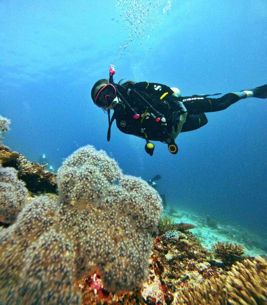 56 BEST Places to Scuba Dive in Fiji