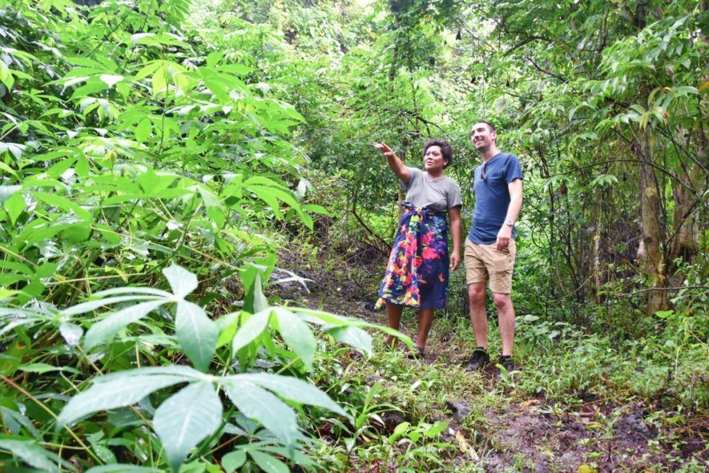 20 Best Walks & Hikes in Fiji 🥾 [2025]