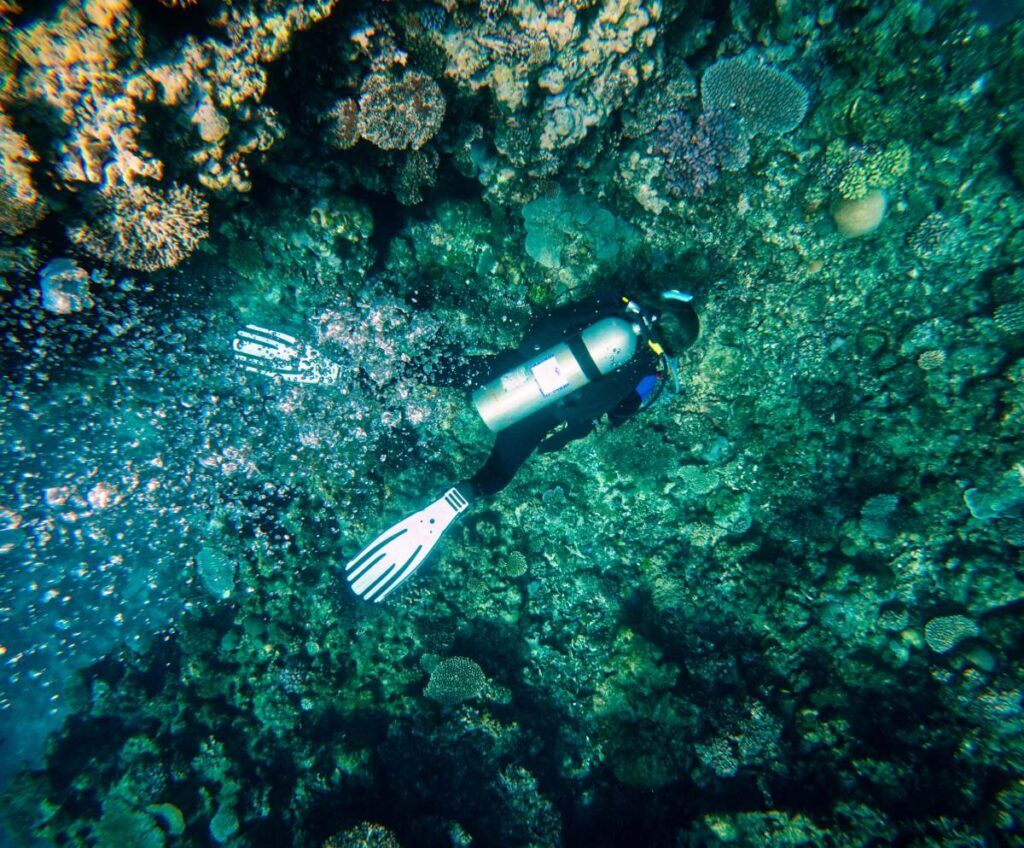 10 Best Things to Do in Fiji at Night