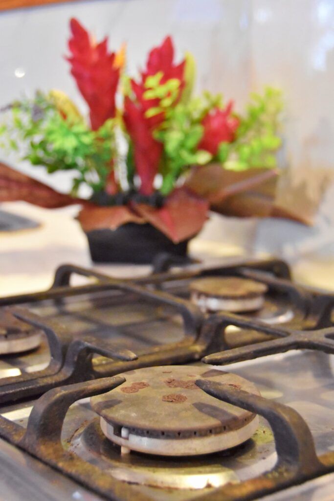 Fiji for Vegans & Vegetarians + 10 Best Restaurants