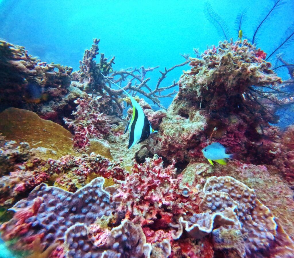 20 Things to Do in the Mamanuca Islands for Yachties