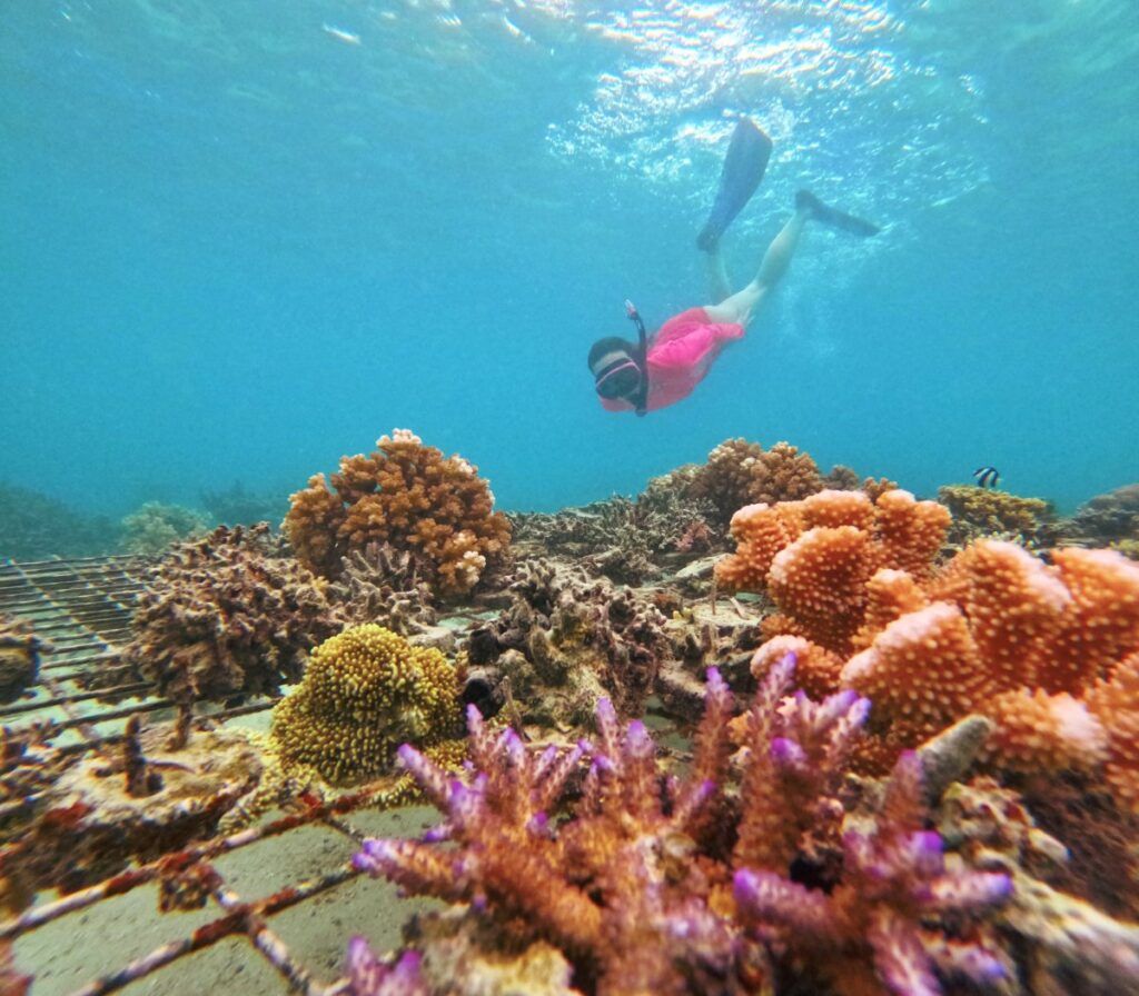 A Sailing Guide to the Mamanuca Islands: Marinas, Moorings & More